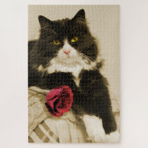 Mooie Tuxedo Cat met Red Rose op Sepia