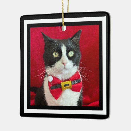 Mooie Tuxedo Kat Kerst Ornament (Links)