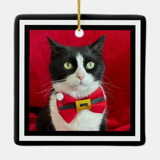 Mooie Tuxedo Kat Kerst Ornament  (Achterkant)