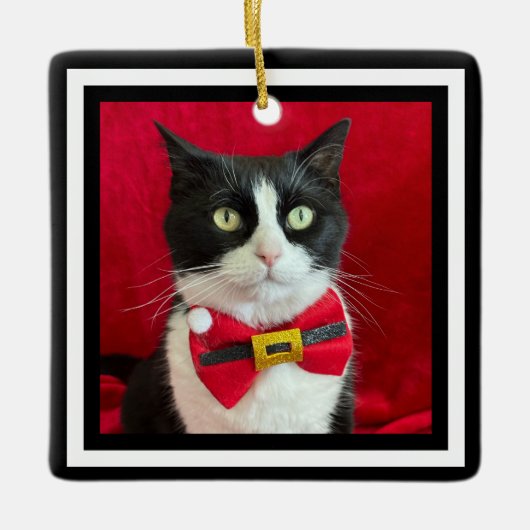 Mooie Tuxedo Kat Kerst Ornament (Voorkant)