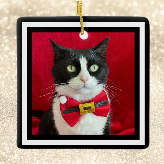 Mooie Tuxedo Kat Kerst Ornament 