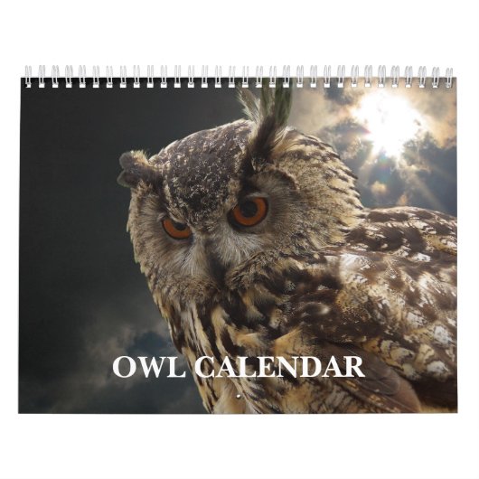 Mooie Uil Afbeeldingen en Afbeeldingen 2025 Kalender (Hoes)