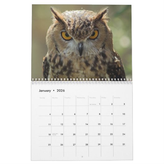 Mooie Uil Afbeeldingen en Afbeeldingen 2025 Kalender (Jan 2026)