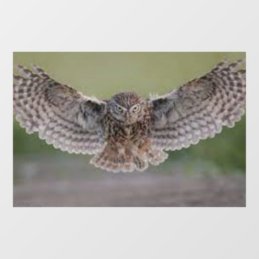 MOOIE "UIL IN FLIGHT" RAAM CLING RAAMSTICKER (Vel)