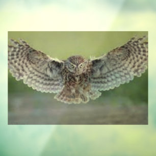 MOOIE "UIL IN FLIGHT" RAAM CLING RAAMSTICKER