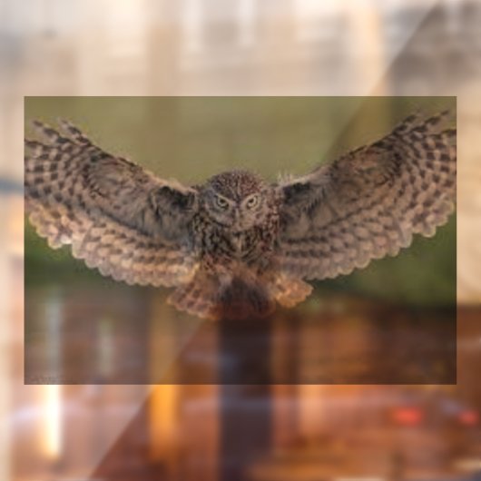 MOOIE "UIL IN FLIGHT" RAAM CLING RAAMSTICKER (Vel 2)