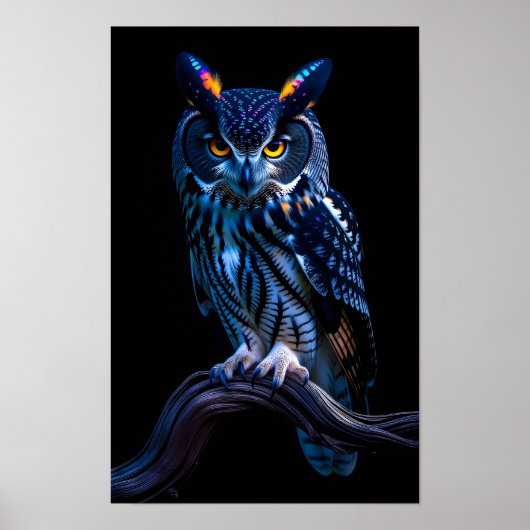 Mooie Uil  Poster (Voorkant)