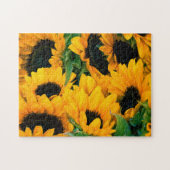 Mooie, uitdagende gouden zonnebloemen puzzel (Horizontaal)