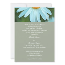 Mooie, uitnodigende witte madeliefjes bloemen brui