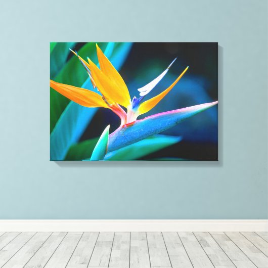 Mooie unieke paradijsvogel Canvas (Insitu (Houten vloer))