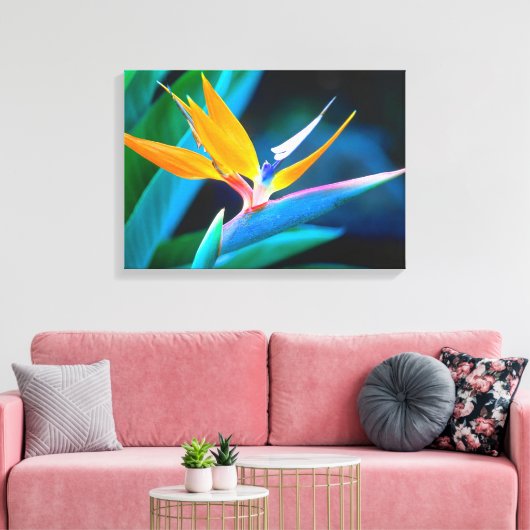 Mooie unieke paradijsvogel Canvas (Insitu (Woonkamer))