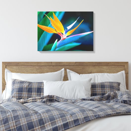 Mooie unieke paradijsvogel Canvas (Insitu (Slaapkamer))