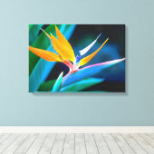 Mooie unieke paradijsvogel Canvas Afdruk (Insitu (Houten vloer))