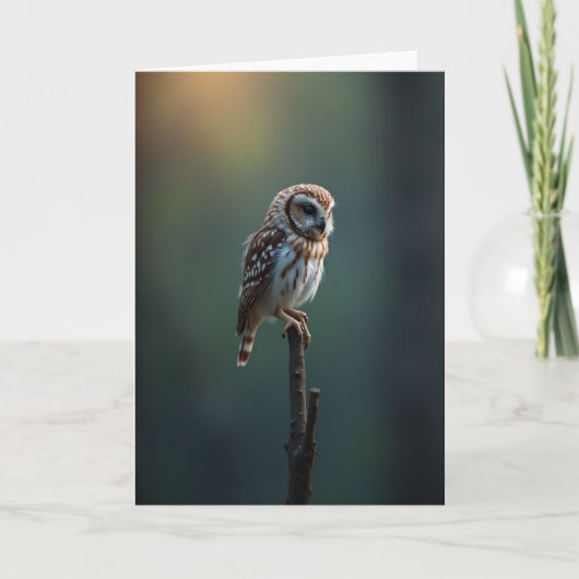 Mooie Vaderdag Uil Fotokaart Kaart (Voorkant)