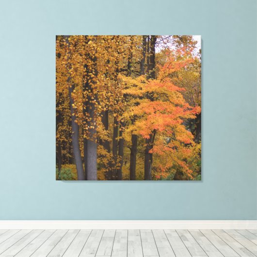 Mooie val laat de poplaire bomen vallen canvas afdruk (Insitu (Houten vloer))