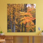 Mooie val laat de poplaire bomen vallen canvas afdruk (Insitu (Woonkamer))