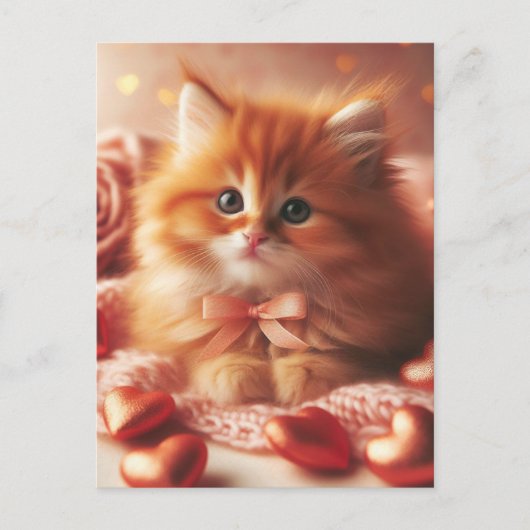 Mooie Valentijn Kitten Briefkaart (Voorkant)