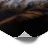 Mooie valkenportret poster (Hoek)