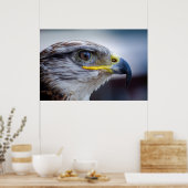 Mooie valkenportret poster (Keuken)