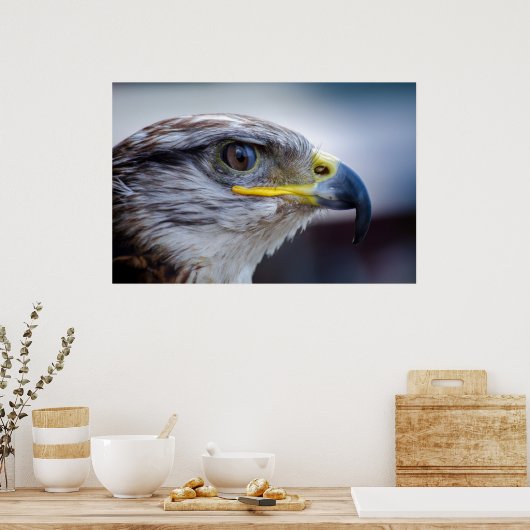 Mooie valkenportret poster (Keuken)