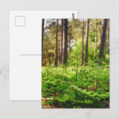 Mooie varen bosgrond briefkaart (Voorkant / Achterkant)