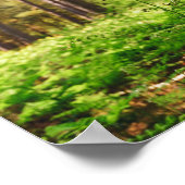 Mooie varen bosgrond poster (Hoek)