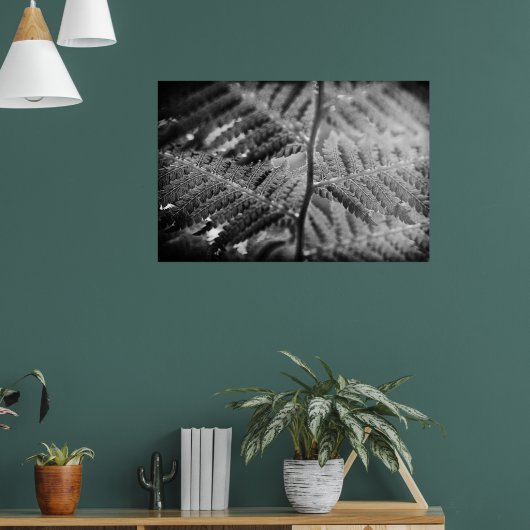 Mooie varen zwart en wit poster (Woonkamer 1)