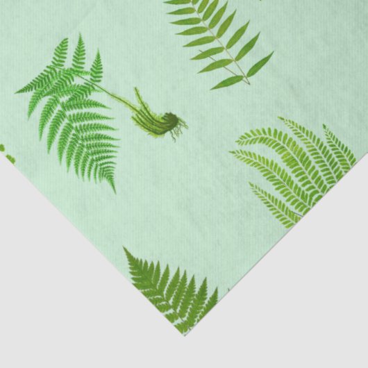 Mooie  varens schilderijen tissuepapier (Detail)