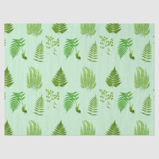 Mooie varens schilderijen tissuepapier (Voorkant)