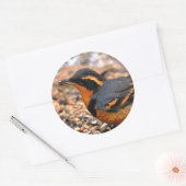 Mooie variëteit op de sneeuwgrond ronde sticker (Envelop)