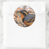 Mooie variëteit op de sneeuwgrond ronde sticker (Tas)