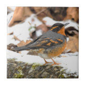 Mooie variëteit op de sneeuwgrond tegeltje (Voorkant)