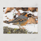 Mooie variëteitshoes op Snowy Ground Briefkaart (Voorkant)