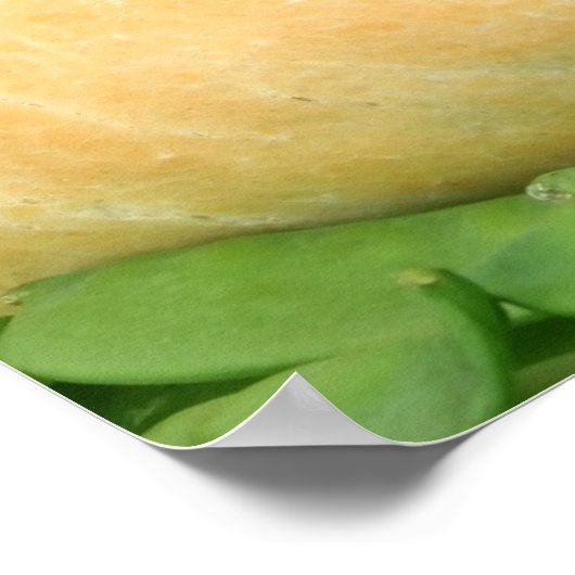 Mooie Veggies "Jij bent wat je eet" Poster (Hoek)