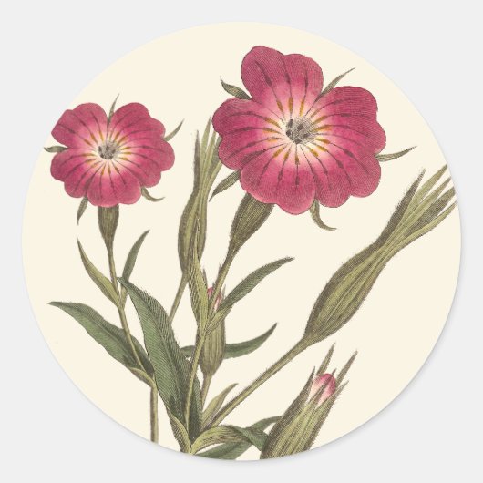 Mooie  veldbloemen Antiek botanisch Ronde Sticker (Voorkant)