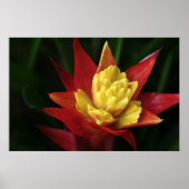 Mooie ventilator poster (Voorkant)