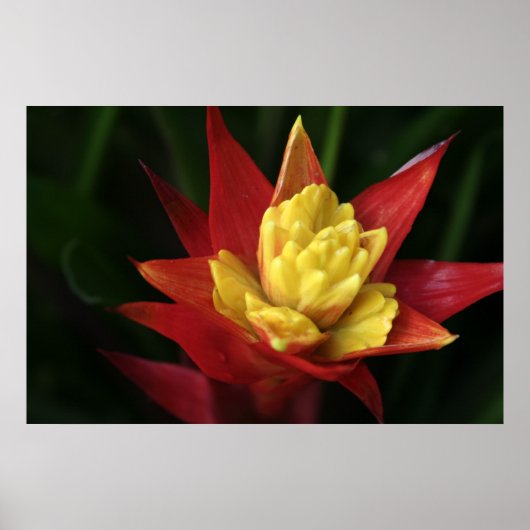 Mooie ventilator poster (Voorkant)