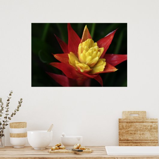 Mooie ventilator poster (Keuken)