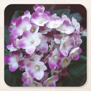 Mooie ventilatorset Onderzetter