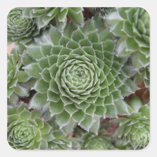 Mooie ventilatorset vierkante sticker (Voorkant)