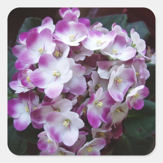 Mooie ventilatorset vierkante sticker (Voorkant)