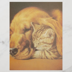 Mooie Verbazingwekkende Kat en Hond Knuffelen Kuns