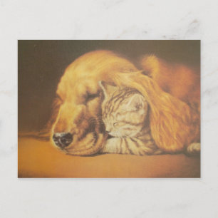 Mooie Verbazingwekkende Kat en Hond Knuffelen Kuns Briefkaart