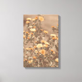 Mooie verbrande Sinaasappel gekleurde Wildflower B Canvas Afdruk (Voorkant)