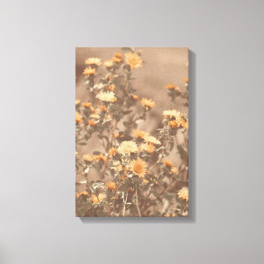 Mooie verbrande Sinaasappel gekleurde Wildflower B Canvas Afdruk (Voorkant)