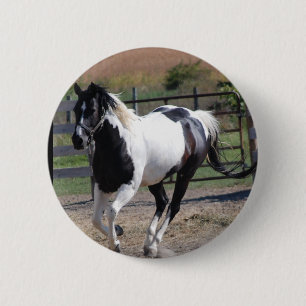 Mooie verf pinto-paard ronde button 5,7 cm