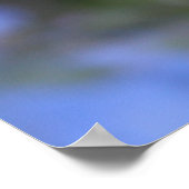 Mooie vergeet-me-niet bloemen poster (Hoek)