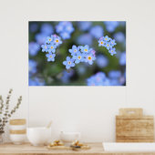 Mooie vergeet-me-niet bloemen poster (Keuken)
