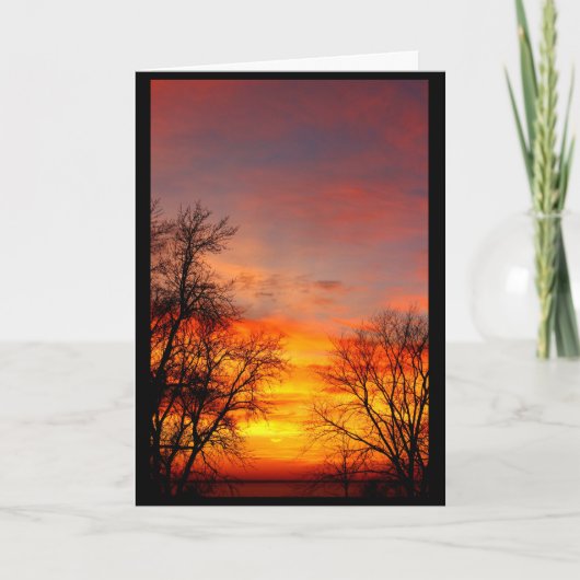 Mooie verjaardag van de zon naar de zon kaart (Voorkant)