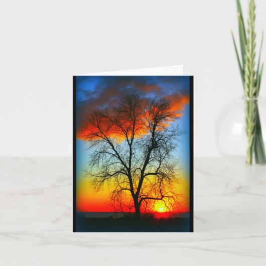 Mooie verjaardag van de zon naar de zon kaart (Voorkant)